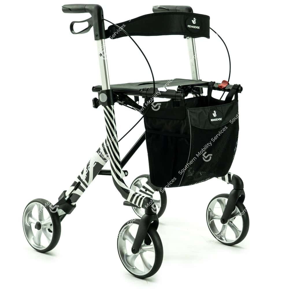 art line space lx zebra